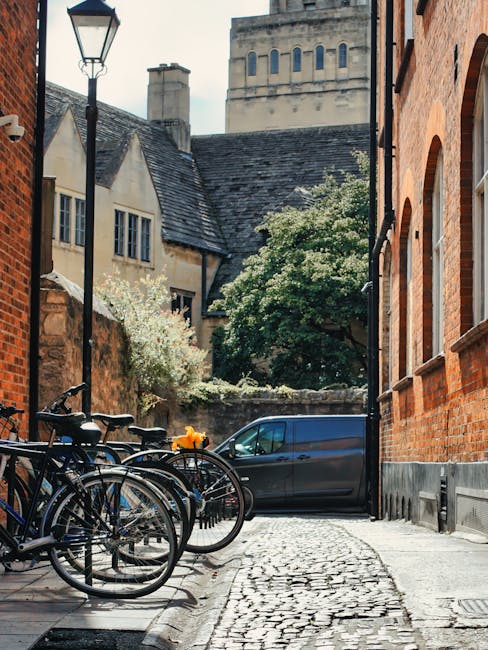 A quiet street scene in Enfield Town showing a narrow roadway with two yellow lines along the curb. On the left side, there is a high stone wall with trees and flowering shrubs behind it, while on the right side, brick buildings with pitched roofs and multiple chimneys line the street. A blue recycling bin is positioned near a lamp post beside the pavement, which has a few small groups of people walking in the distance. The pavement is wide and clean, with some area designated for loading or unloading. The sky is partly cloudy, with soft sunlight illuminating the scene, capturing the typical residential and historic character of Enfield. This setting is relevant for house removals and furniture transport, with potential for visualizing the process of home relocation or moving services provided by Removal Van Enfield, especially in areas with narrow streets and parking restrictions.